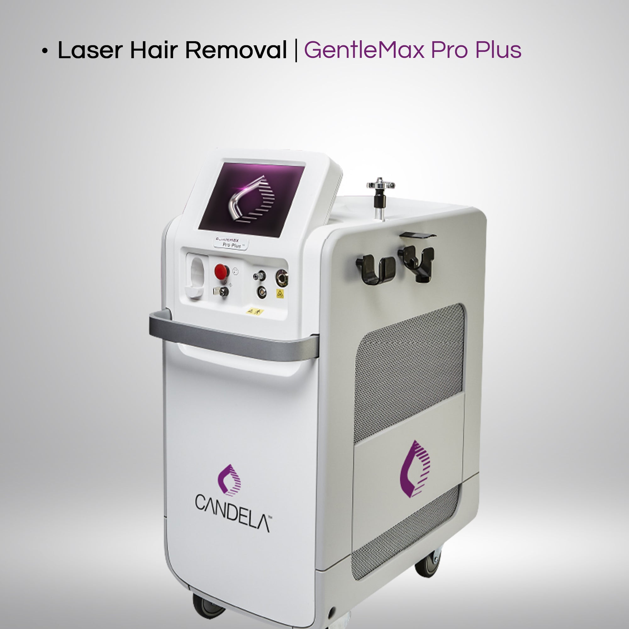Laser Hair Removal ( Female )